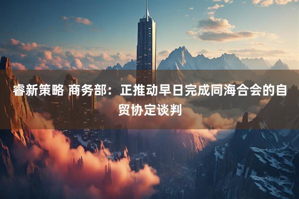 睿新策略 商务部：正推动早日完成同海合会的自贸协定谈判
