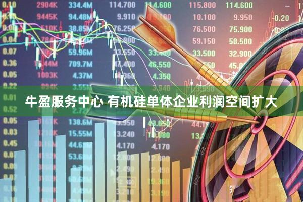 牛盈服务中心 有机硅单体企业利润空间扩大
