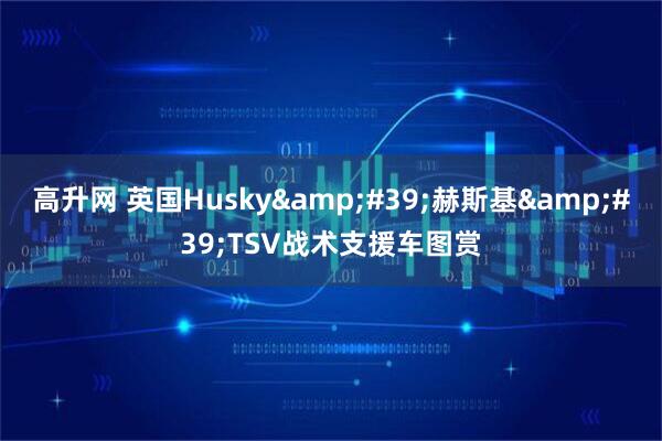 高升网 英国Husky&#39;赫斯基&#39;TSV战术支援车图赏