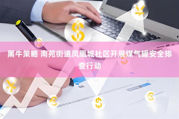 黑牛策略 南苑街道凤凰城社区开展煤气罐安全排查行动
