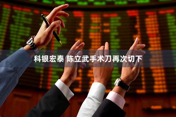 科银宏泰 陈立武手术刀再次切下