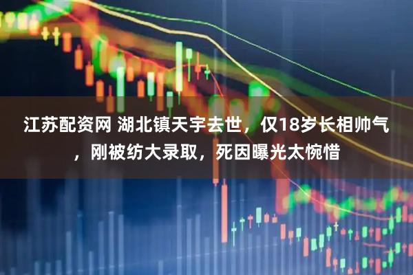 江苏配资网 湖北镇天宇去世，仅18岁长相帅气，刚被纺大录取，死因曝光太惋惜